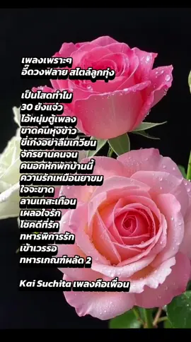 #เพลงเพราะๆ  อี๊ด วงฟลาย สไตล์ลูกทุ่ง