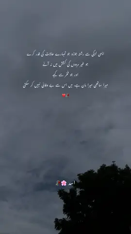 ایسی لڑکی سے رشتہ جوڑو جو تمہارے حالات کی قدر کرے جو غیر مردوں کی کشش میں نہ آئے اور جو فخر سے کہے میرا ساتھی میرا مان ہے، میں اس سے بے وفائی نہیں کر سکتی