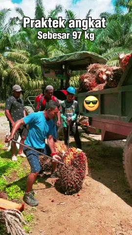 Angkat buah sawit g7 kg #abdrahmansyam #bangrahman #sawit #kelapasawit #fypシ゚ 