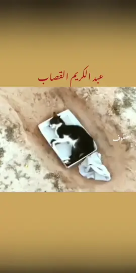 عودتني عليك #شعراء_وذواقين_الشعر_الشعبي🎸  #اكسبلور #لايك__explore___  #تصميم_فيديوهات🎶🎤🎬  #عباراتكم_الفخمه📿📌