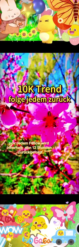 #follower #tiktok #teamwork #push #deutsch #viral #germany #hype #gönyamin #entertainment #life #humor #memes #deutschland #grow #international #happy #witzig #lachen #10ktrend #fyp #fame #followers