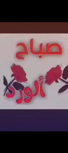 صباح الخير . . . . . . . . . .#ميمز #شتبوستر_عظيم #شتبوست #fyp #foryou 