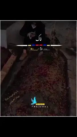 🌹🇦🇪🌹🇵🇰🌹🇧🇫🌹🏏🌹