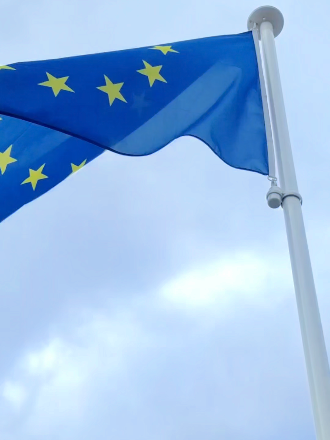 🥳 Múlt héten nagy örömmel láttam vendégül az őszi időszak első látogatócsoportját az Európai Parlamentben.  🇪🇺A résztvevők betekintést nyerhettek az Európai Parlament működésébe, bejárhatták a Hemicycle-t (ahol az EP képviselők szavaznak) és hallhattak az Európai Bizottság HERO programjáról is.  👩‍💻A HERO program (Housing and Empowerment for Roma / Romák Lakhatása és Felhatalmazása) célja, hogy lakhatási támogatással, pénzügyi képzéssel és kapacitásfejlesztéssel segítse a marginalizált roma közösségeket, hogy méltósággal, stabilan és önállóan élhessék mindennapjaikat, ezzel megnyitva valódi integrációjuk útját.  🇭🇺 Köszönöm minden résztvevőnek, hogy eljöttek! ❤️🤍💚#tisza #tiszapart #magyarorszag #fidesz #hungary
