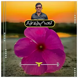 بہت ہی خبصورت شعر  (آواز،(عاصم جانی ڈومیلی آلہ