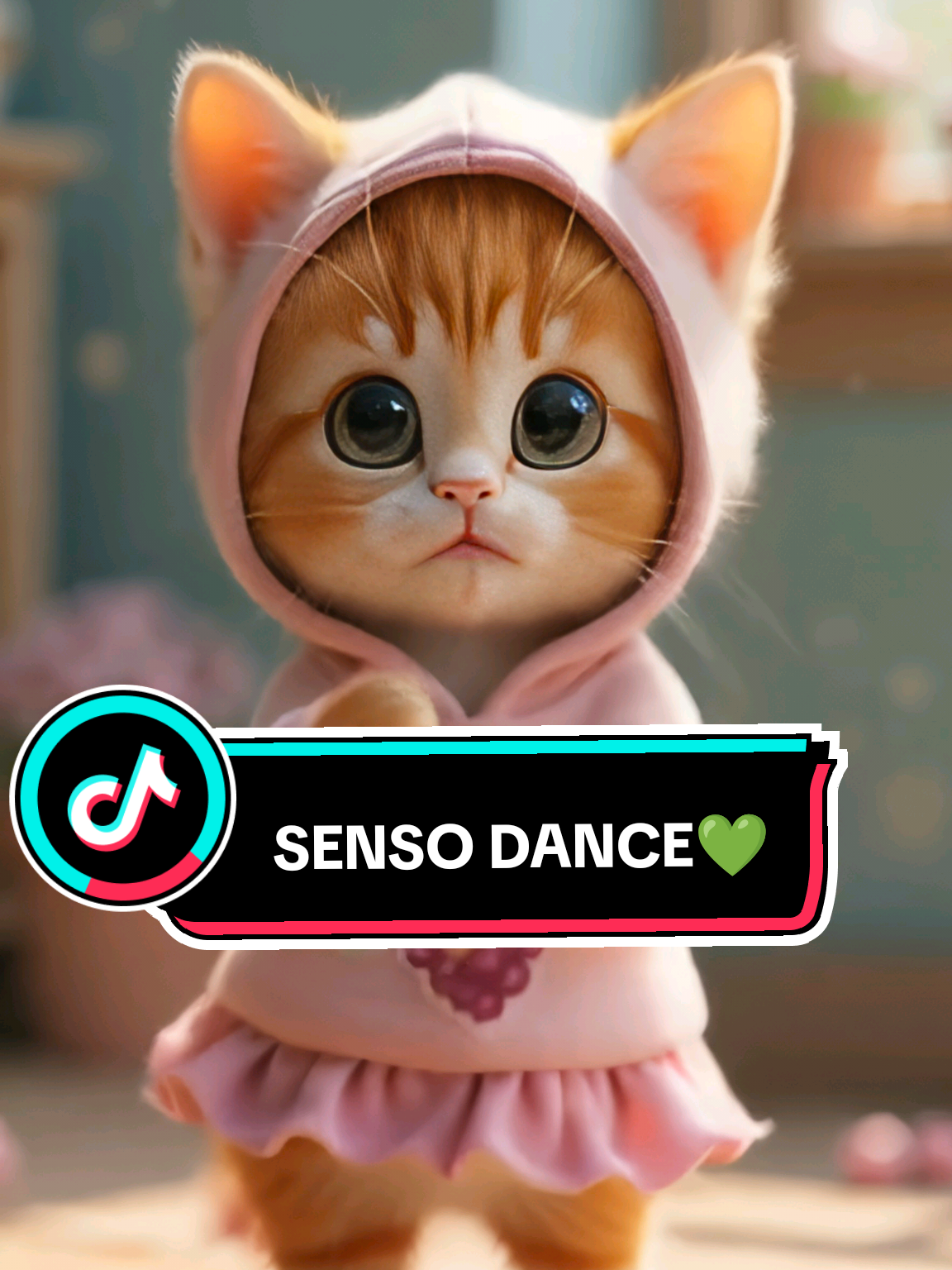 Kucing bernyanyi stecu kucing lucu kucing meong meong meong #kucing #kucingtiktok #kucinglucu #kucinggemoy #kucingoren 