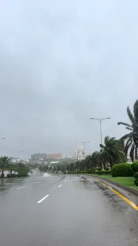 🌨️