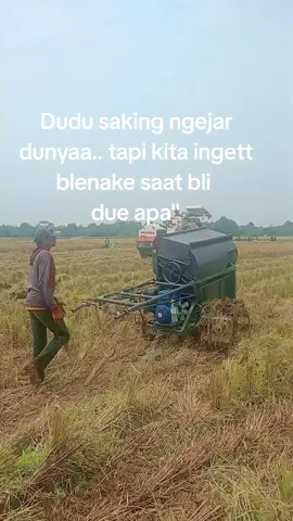 #panenpadi🌾 #mesinperontokpadi #petanimuda #petaniindonesia🇮🇩🇮🇩🇮🇩 #tiktokviral 