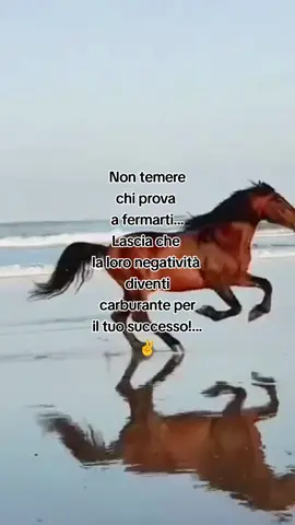 #frasimotivazionali #rifflessioni #fyp #perte #foruyou 