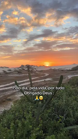 Um dia iluminado para todos nós 🙌🏽🌞