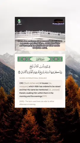 #عبدالرحمن_السديس #creatorsearchinsights #quran #اكسبلور #الشريم_السديس 