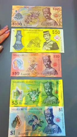 Ani duit dollar Brunei 🇧🇳,mana dollar mu? #dollar #money #fyp #brunei #masukberanda 