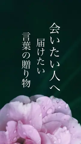 会いたい人にぜひシェアして下さい。 #恋愛 #恋愛ポエム #会いたい #今月もよろしく 