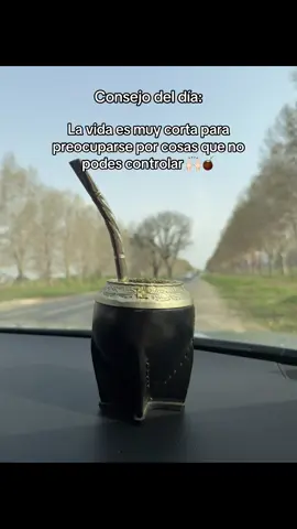 🧉🙌🏻#argentina #mates #consejos #dia #frases 