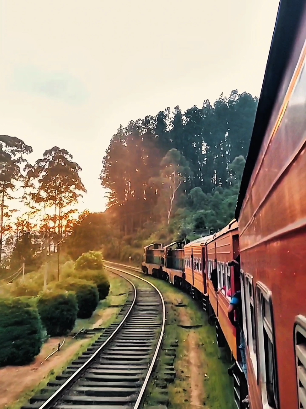 Most Beautiful #Train_Ride 🚂❤️ | Badulla #Night_mail Through Misty Highlands . . . #highland  #travel #natureroamlk #Shorts #cenematic #diyathalawa #upcountry #fyp 