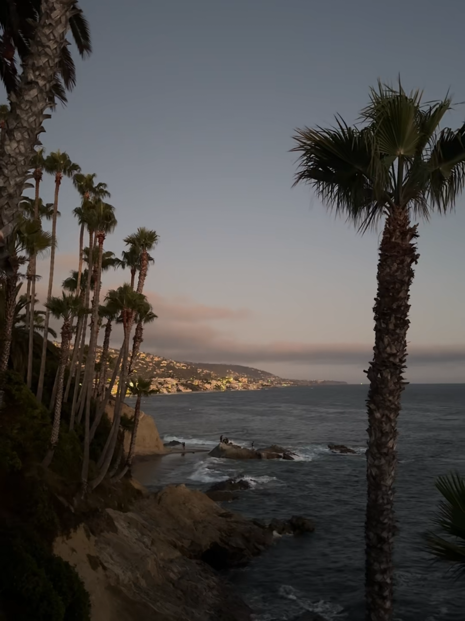 #niche #fyp #repost #aesthetic #targetaudience 