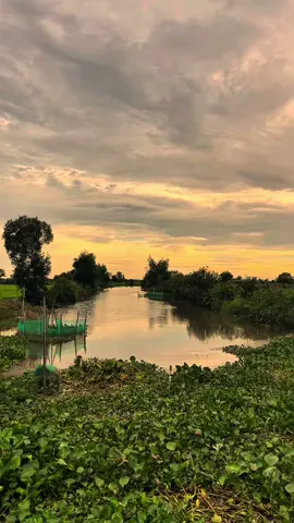 Bạn lại buồn nữa à….#buontamtrang 