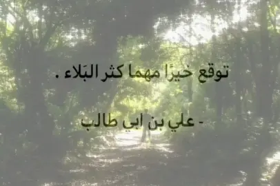 عليه السلام #pov #fyp #قتباسات #مقولات #الامام_علي_بن_أبي_طالب_؏💙🔥 
