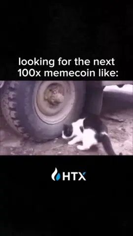 🐭 The Next 100x Memecoin is Hiding… Can YOU Spot It? 👀 This cat can’t find it… but it’s hiding in plain sight! 😹 Just like spotting the next 100x memecoin in the #crypto  market sometimes you have to look REALLY close. 💥 Trade smarter & find your crypto gems on the leading platform for traders worldwide!   🔥 Don’t forget to like, comment, and share if you’ve ever missed a hidden gem in crypto on HTX!