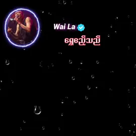ရွှေဧည့်သည် #music #မင်းတို့ပေးမှ❤ရမဲ့သူပါကွာ #fyp #alightmotion 