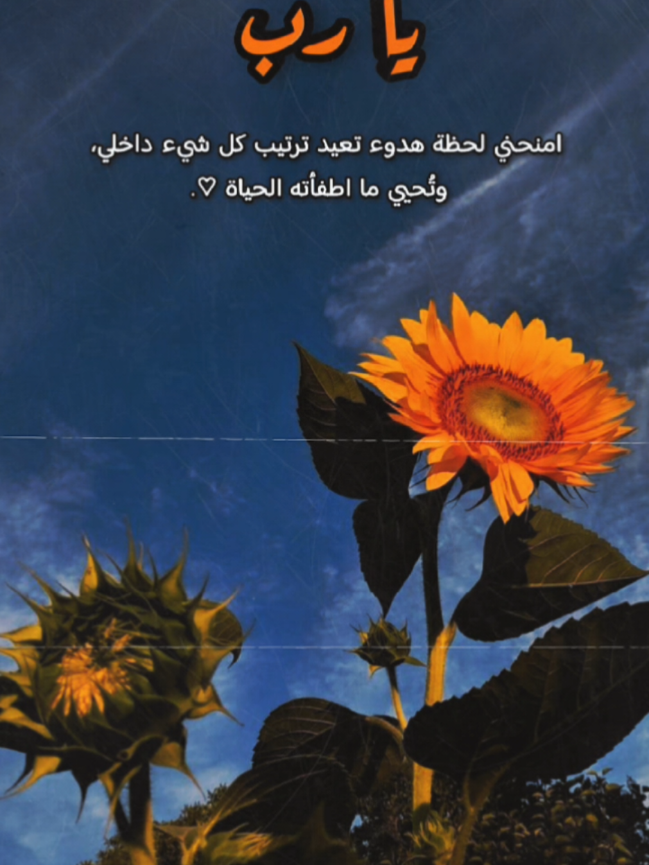 تَابِعْنِي، وَخَلِّ بَصْمَتَكَ الحُلْوَةَ بِلَاٙيْكٍ 🌟🫶✨#foryou #viral #capcut #ترند #لايكات 