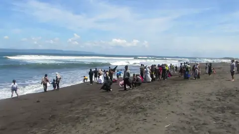 Seekor hiu tutul dengan panjang sekitar 6 meter ditemukan terdampar dalam kondisi hidup di pesisir pantai selatan yakni tepatnya di Pantai Pancer, Kabupaten Jember, Jawa Timur, Minggu. 