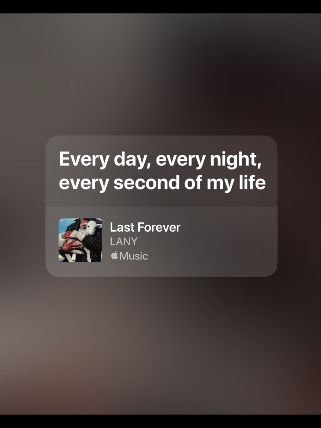 LANYYY #lastforever #lany #lyrics #liriklagu #foryou 
