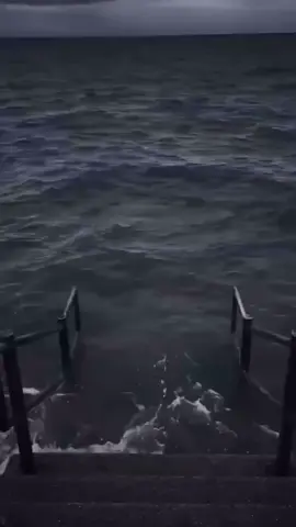 YOASOBIの伝説はここから始まった… @幾田 りら @YOASOBI  #幾田りら #yoasobi #推し #おすすめにのりたい #エクレア事件 