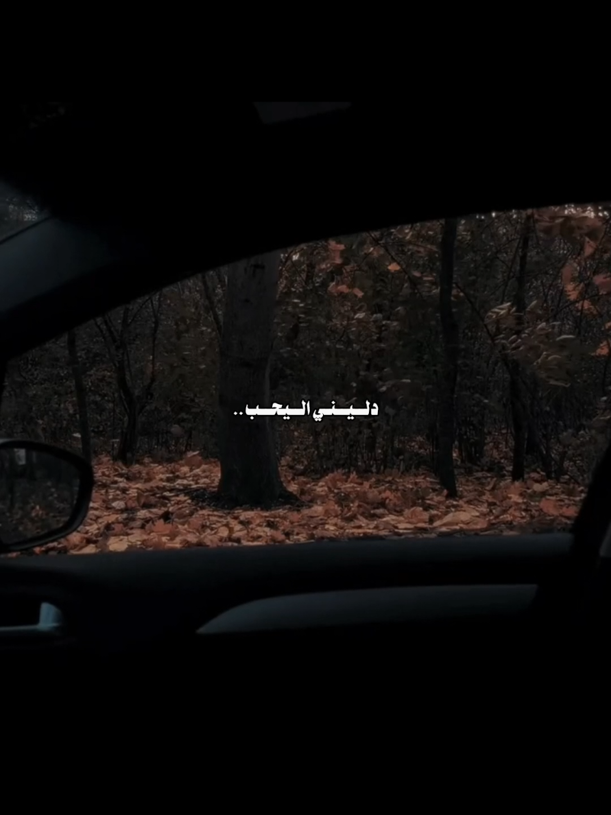 دليني اليحب شيسوي لو تاه.. #السلام_عليك_يااميرالمومنيين_علي #السلام_عليك_يااباعبد_الله_الحسين #سيد_فاقد_الموسوي #محمد_باقر_الخاقاني #مُسْلِم 