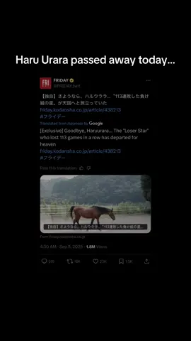 RIP Haru Urara I wish only the best for her caregivers and hope Urara gets all the carrots and rye grass in Heaven :( #umamusume #umamusumeprettyderby #haruurara #rip #fyp @i love midwestemo 