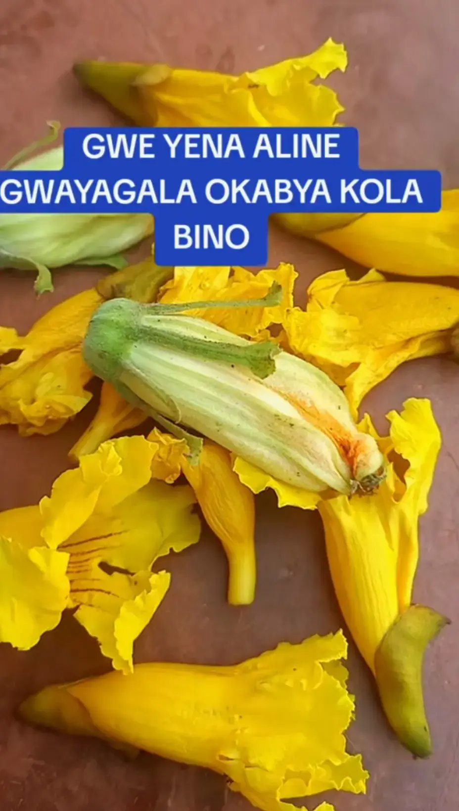 Gwe yena Alina EBIZIBU kuba kati #fyppppp #uganda #fypppp 