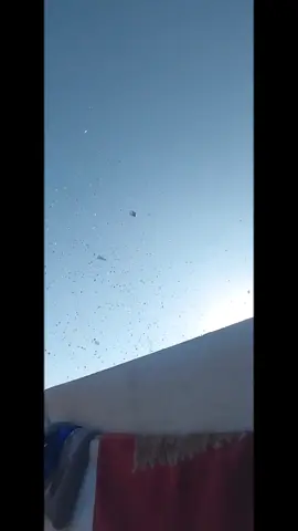 #ننزح_وين؟_نموت_فيها #صامدون_رغم_كل_الظروف  #شمال #غزة_العزة🇵🇸  #نزوح_قهر_تهجير_حرمان_ألم_غربة 