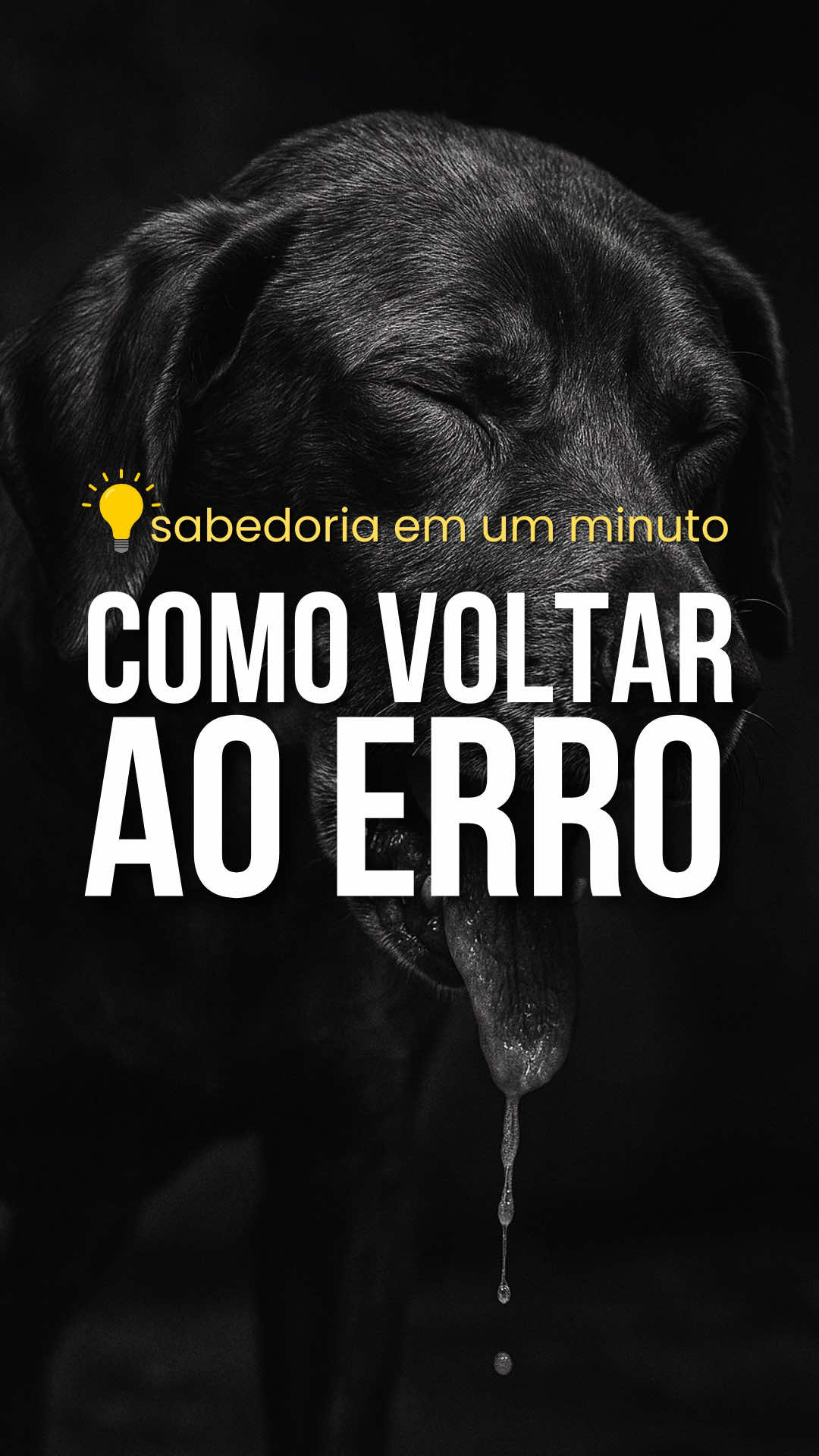 #sabedoriaemumminuto #sabedoriadevida #sabedoria #sabedoriadedeus 