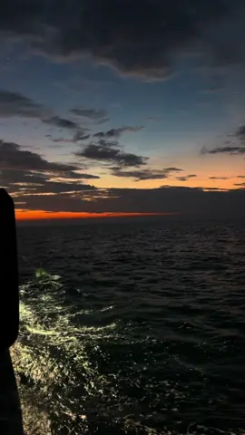 Yêu họ hết lòng hết dạ để rồi nhận lại được gì?