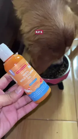 sobrang paglalagas ng balahibo no more kapag may wild salmon oil! #wildsalmonoil #healtyfur #floofpets 