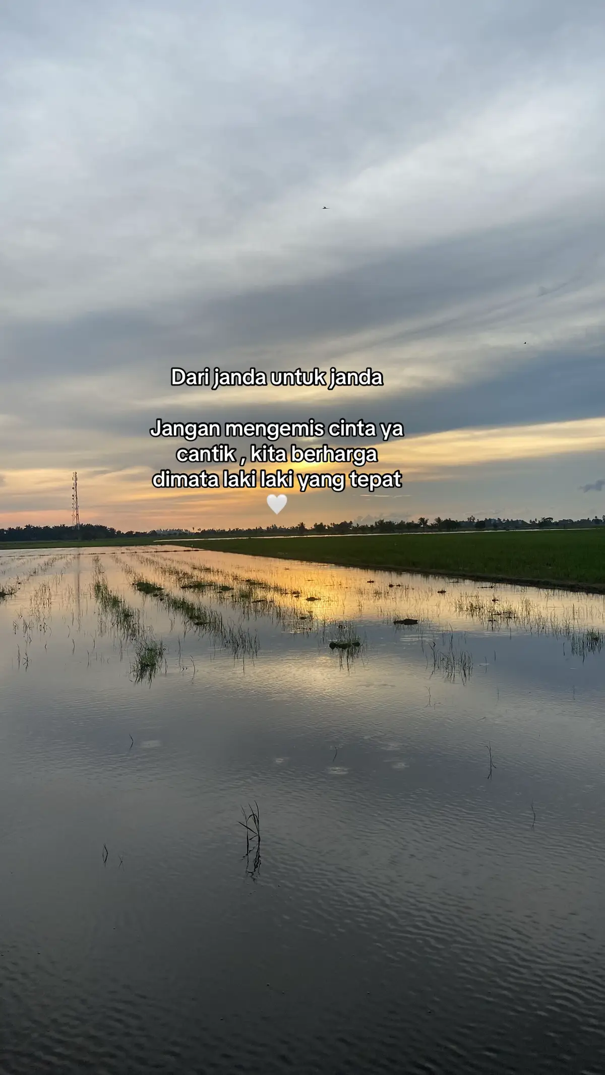 #fypシ゚ #fyp #foryoupage 