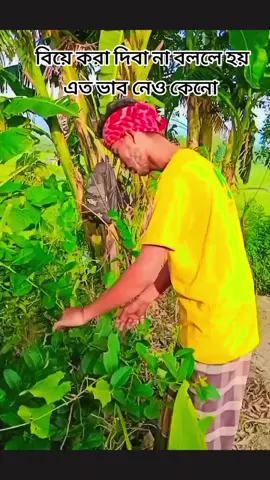 সবাই  আমাদের  একটু  সাপোর্ট  করবেন  প্লিজ  🥰🥰🥰🥰🤔🤔🤔🤔❤️❤️❤️❤️❤️