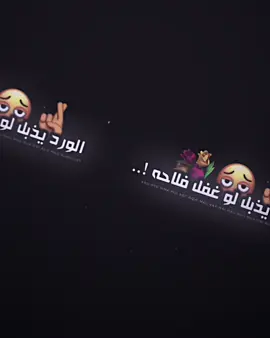 ترخص عليك الروح بس كون أشوفك !😄🫂#فيديو_ستار🚸🔥 #عبارات #عبارات_جميلة_وقويه😉🖤 #تصاميم_فيديوهات #فيديوهاتي_تصاميمي🎶🎬 
