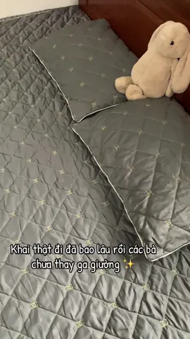 Đã bao lâu các bà chưa thay ga giường #xuhuongtiktok #ilovetiktok #gagiuong #gagiuonggiare 