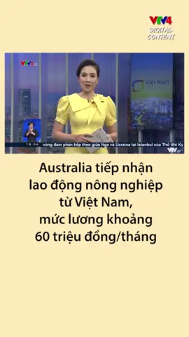 Australia tiếp nhận 1000 công dân Việt Nam , làm nông nghiệp , mức thu nhập ổn định hàng tháng #thoisu#thoisuvtv #vtvcab #vieclamtaiuc #viral 