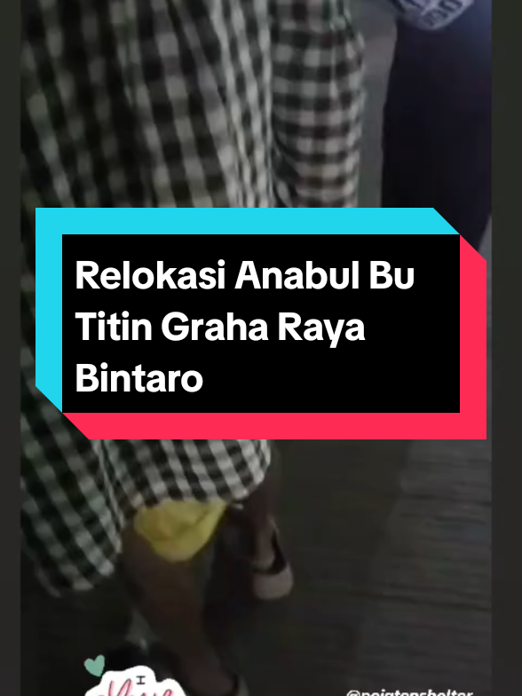 Membalas @mujirahayu103  Maaf Mimin baru update. Anabul Bu Titin sdh aman di shelter Animal Defender Indonesia milik bang @doniherdaru . Utk Bu Titin sendiri masih dicarikan tempat utk beliau tinggal, sambil membujuk Bu Titin utk mau jg di relokasi ke tempat yg baru supaya bisa bertemu kembali dgn anabulnya. Terima kasih utk semua pihak yg sudah bantu relokasi anabul Bu Titin. Mohon doa supaya Bu Titin mau diberikan tempat yg baru.  #anabulkesayangan  #doglover  #pecintahewan  #animallovers 