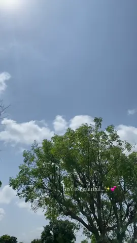 #fyppppppppppppppppppppppp #viralvideo #trendingtiktok 
