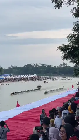 pacu jalur mendunia kabupaten Kuantan Singingi riau#fypシ゚viral #tepiannarosatalukkuantan #pacujalurkuantansingingi 