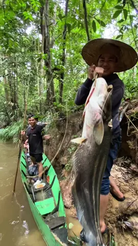 Berburu ikan Tapah di Desa Tapang Da’an Kecamatan Kalis Kabupaten Kapuas Hulu