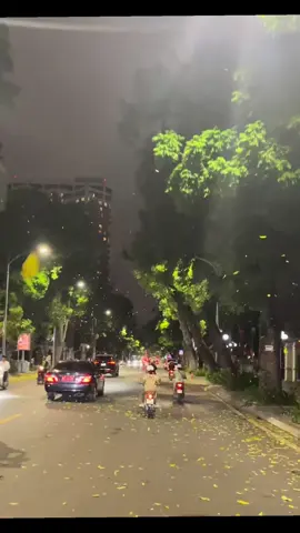 #nhacchill #nhachaymoingay #nhaccuon #nhacbuontamtrang #xuhuong 