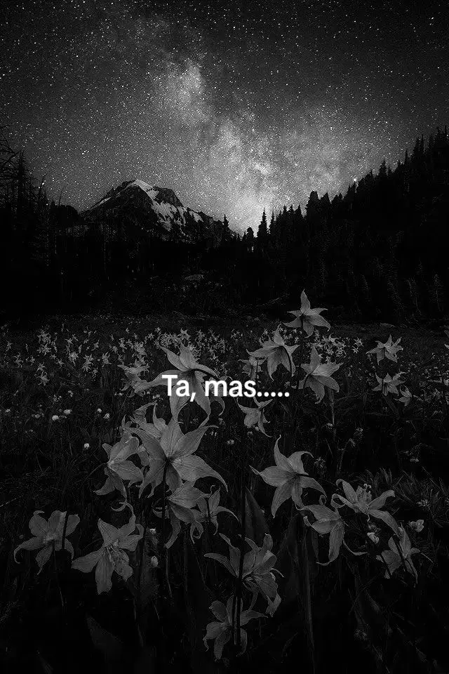 #fypシ゚ #fyppppppppppppppppppppppp #frases #sentimientos 