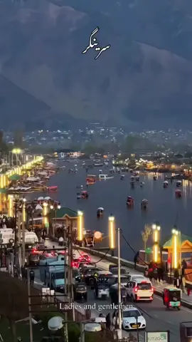 Welcome to Srinagar❤️#fyp #unfreezemyacount #indian #occupied #sirinagar 