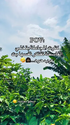 #الشعب_الصيني_ماله_حل😂😂 #مشاهير_تيك_توك_مشاهير_العرب 