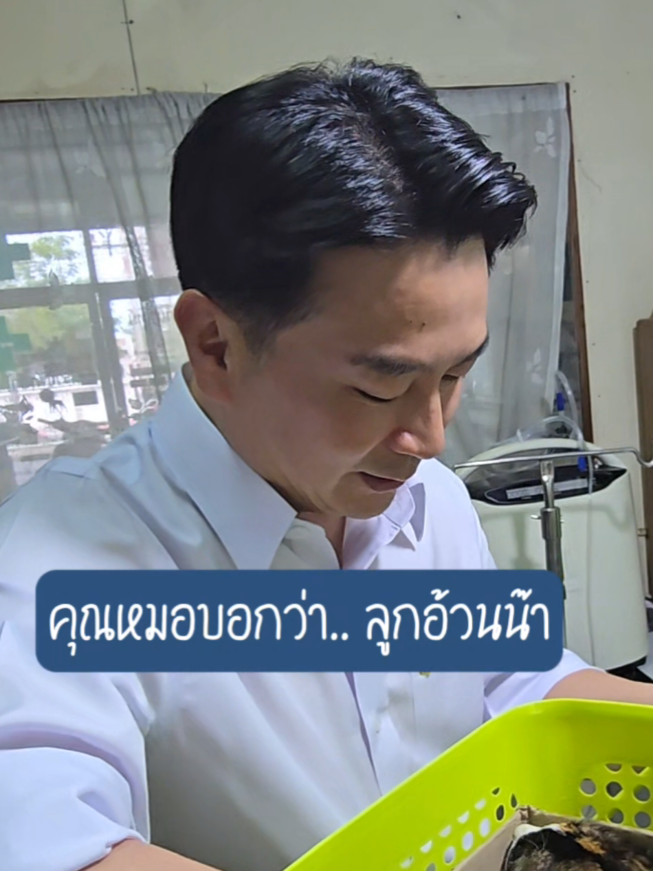 #ประจวบคีรีขันธ์ #หัวหิน #2568 #ลูกสาว 