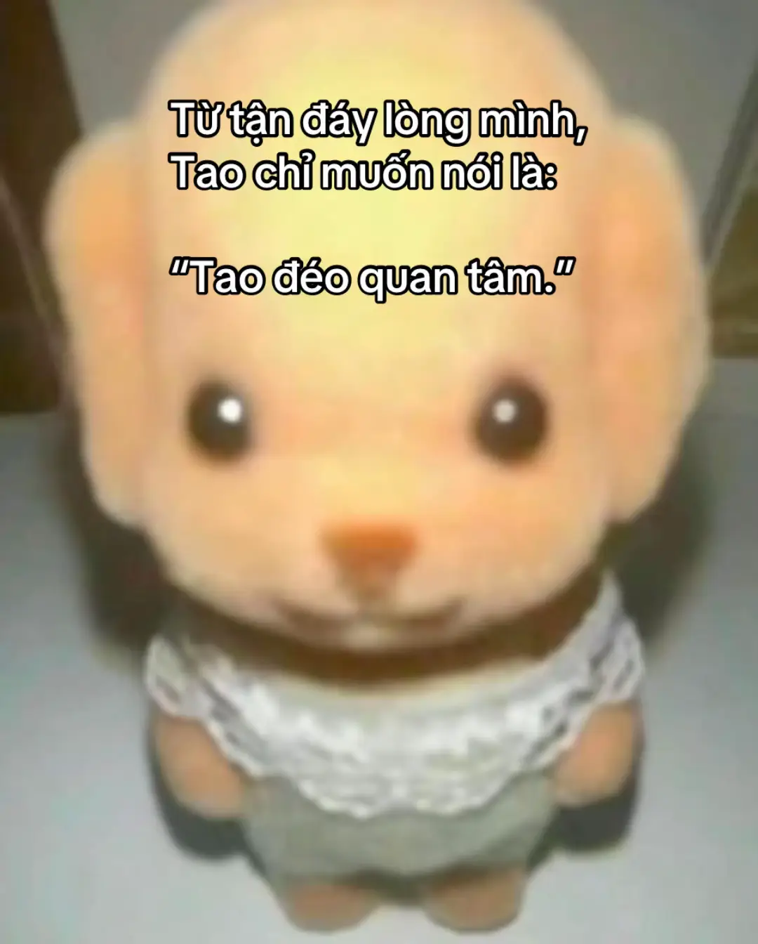 Mình chỉ cố chấp với đúng 1 người, còn lại như nào cũng được hết. #ngoghe #quandiemsong #fyp #daoly 